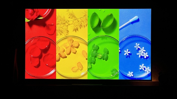 تلویزیون ال جی 65QNED81