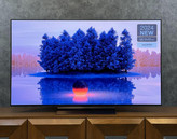 تلویزیون اولد ال جی 65C4